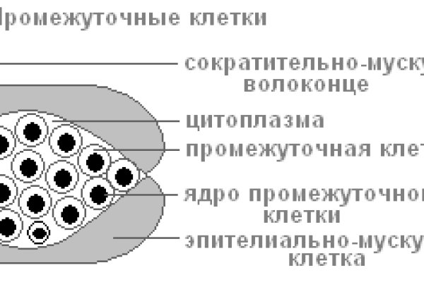 Почему не работает кракен сегодня