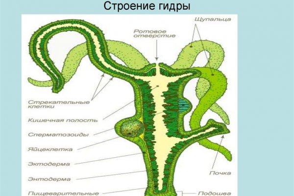 Новая ссылка на кракен